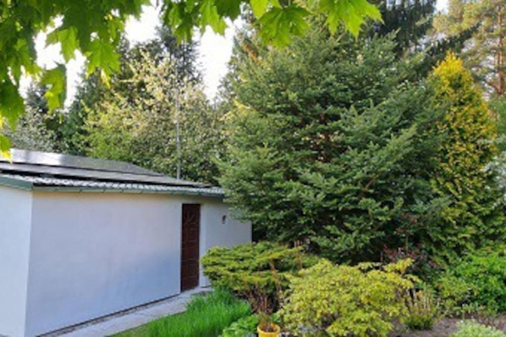 Villa Pod Jablonia à Bydgoszcz Extérieur photo