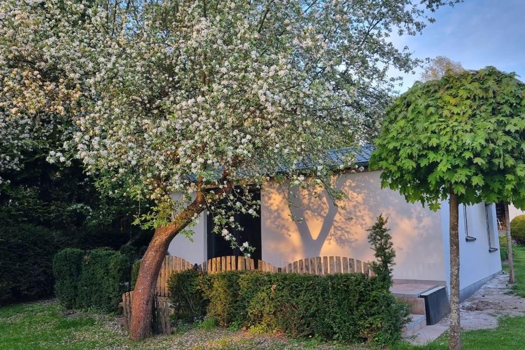 Villa Pod Jablonia à Bydgoszcz Extérieur photo